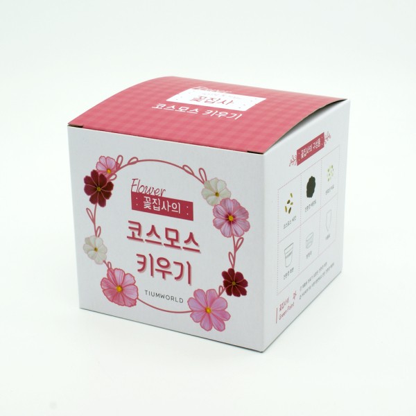 꽃집사 코스모스