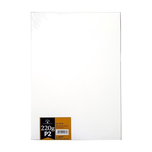 우진 로얄 무지상장용지 100매 P2 220g 박스 16개
