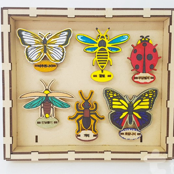 (TD) (취미키트) 곤충표본액자DIY