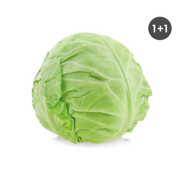 국내산 양배추 2kg (1+1/총4kg)