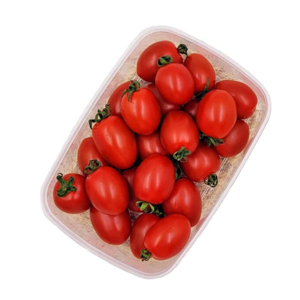 반투명 밀폐통 830mL
