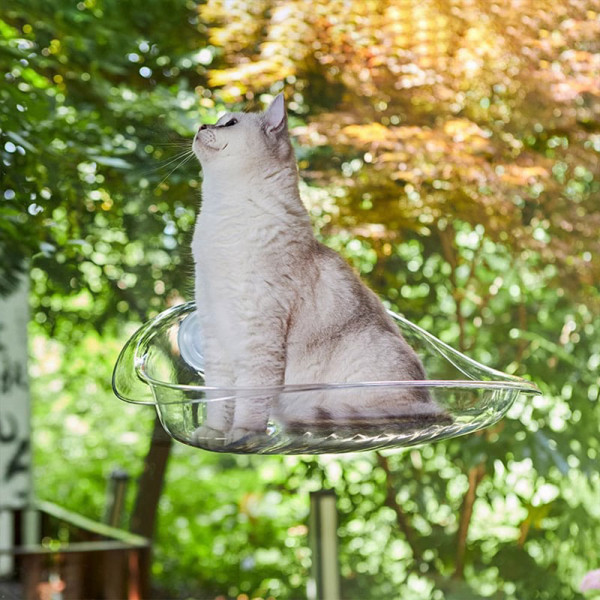크레용펫 크레용펫 클리어 아크릴 해먹