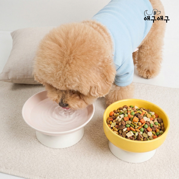 애구애구 강아지 고양이 세라믹 도자기 식기 밀크푸딩 스탠드볼