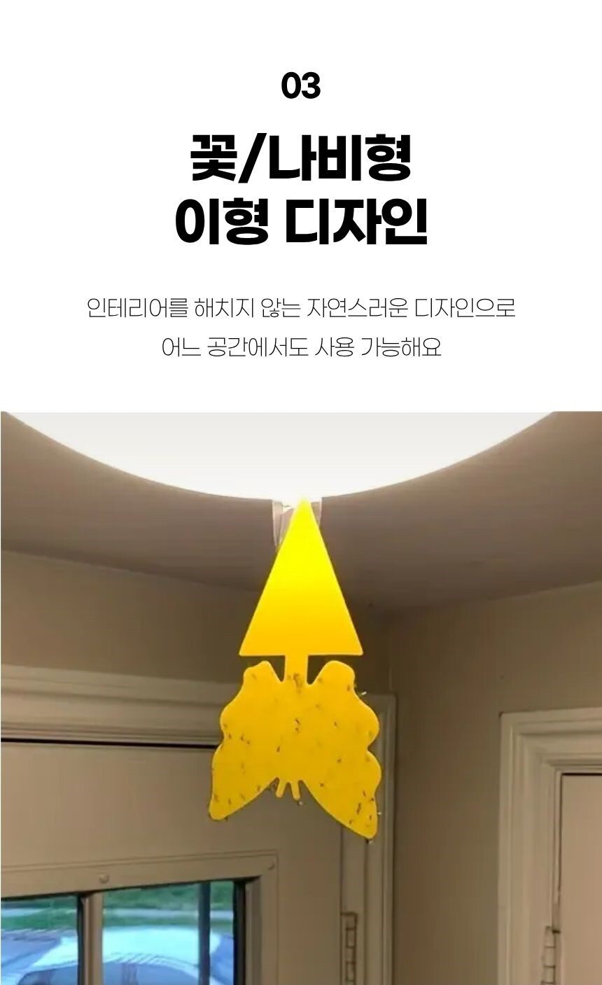 화분 속 날벌레 유입 차단