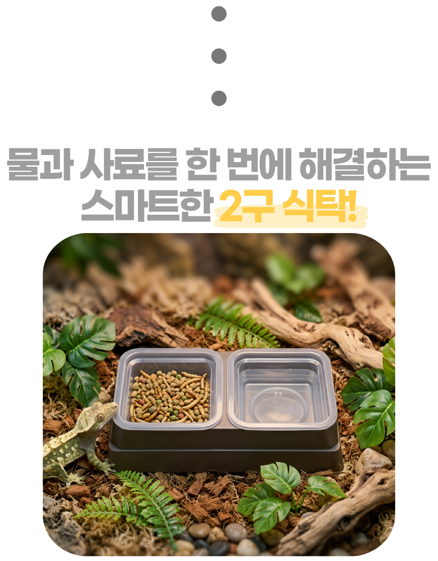 상세4