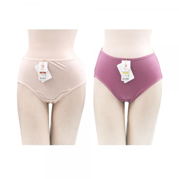 텐셀기본무지팬티 L부터3XL 베이지 퍼플