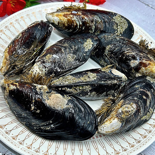 자연산 홍합 담치 2kg 특대
