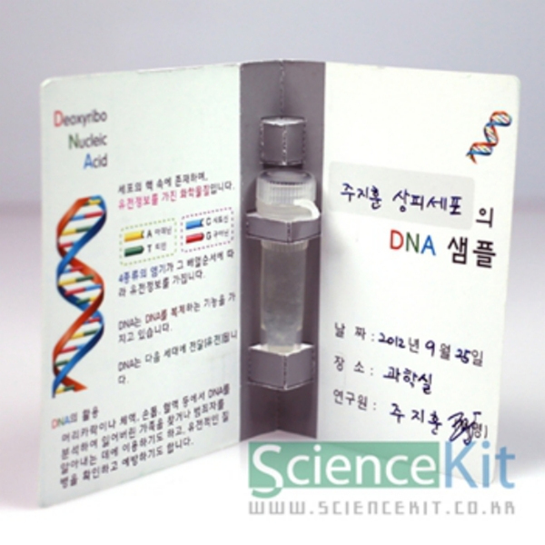 (SC) DNA추출2 동물세포(4인용)