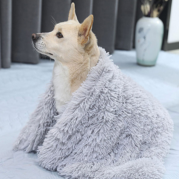 부드러운 강아지 고양이 사계절 담요 100x75cm 블루