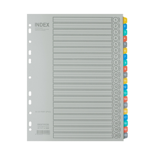 대흥 PP인덱스 I620 A4 20분류 1세트입