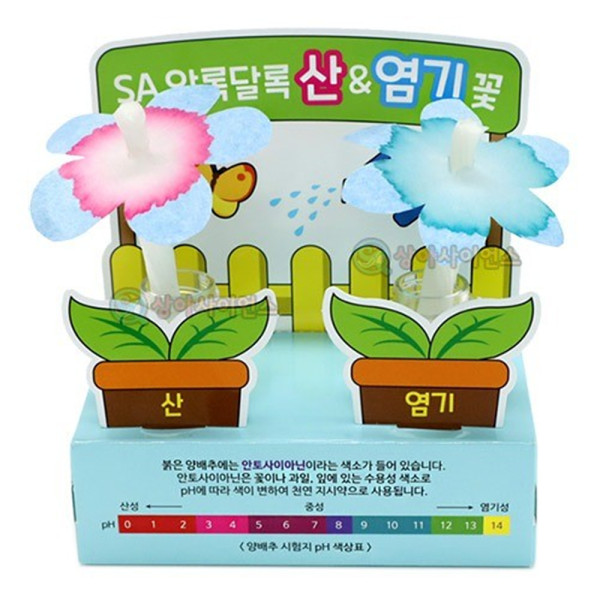 (SA) SA 알록달록 산염기꽃(1인)