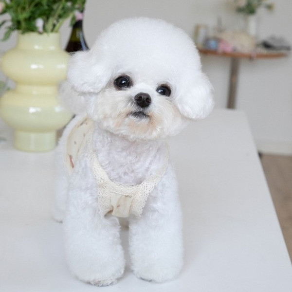 비유펫 소량재고 세일 토이곰 나시 XS 3XL