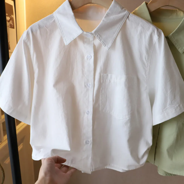 데일리 카라 크롭 베이직 반팔 셔츠