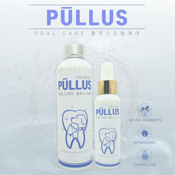 풀루스 오랄케어 건강음료 스프레이 100ml
