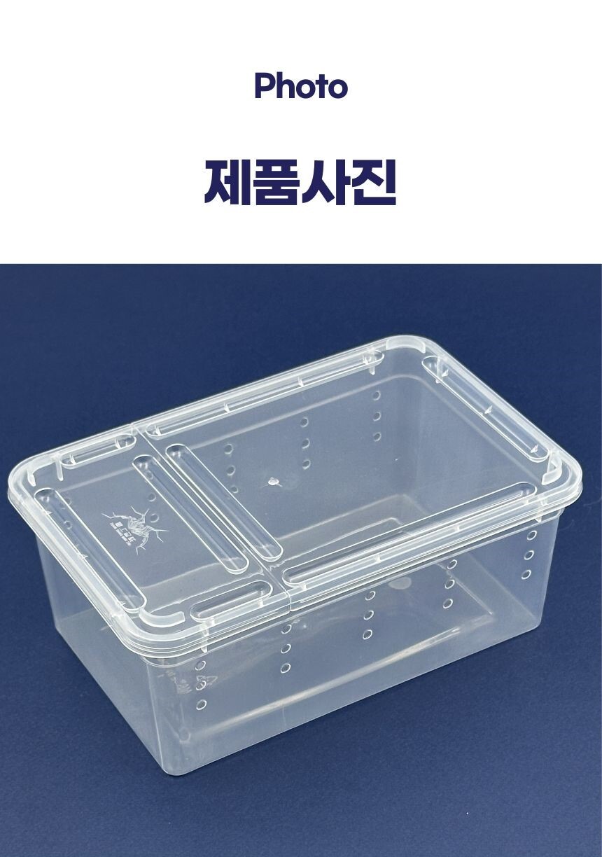 소형 플라스틱 크레스트게코 박스 사용 예시
