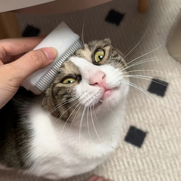 고양이 강아지 부드러운 빗 그루밍 엉킨 죽은털 엉킨털 제거 빗 브러쉬 털제거기 털갈이 빗