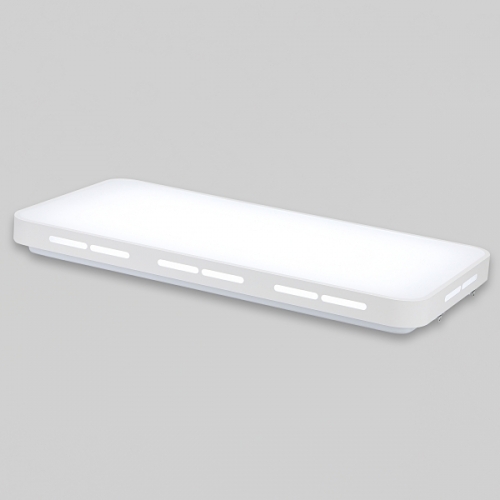 비츠온 거실등 LED 뉴 페어 2등 50W