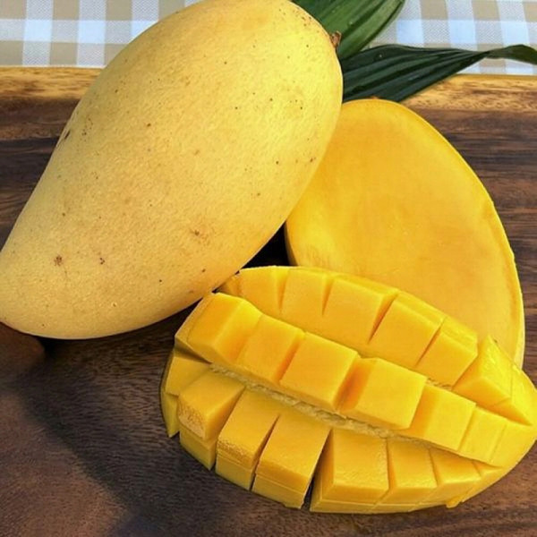 태국망고 골드망고 5kg