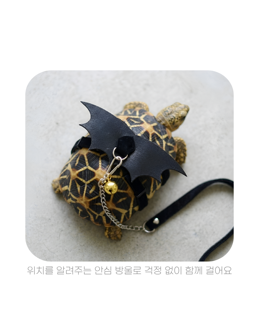 상세1