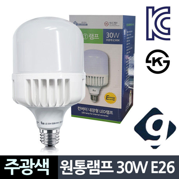 건식 LED 원통램프 주광색 30W E26 컨버터 U볼 전구