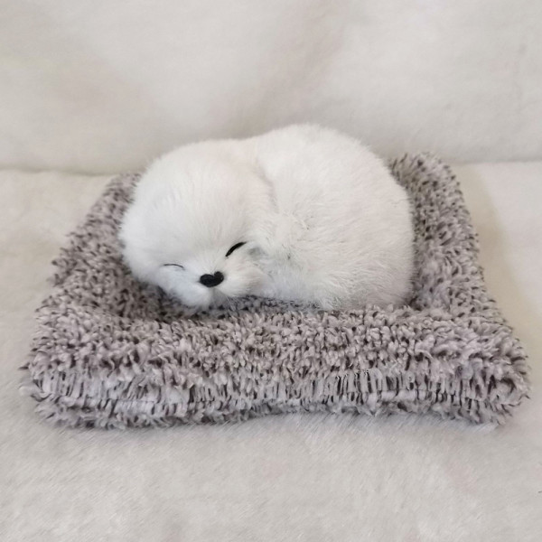 실내 집안 방 신발장 제습 냄새 제거 탈취제 흰둥이
