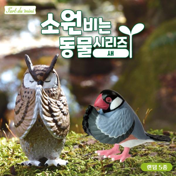 소원비는동물시리즈 새