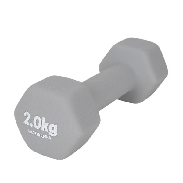헬스용품 네오프렌 아령 미용아령 2KG 그레이