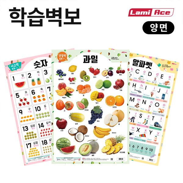 양면학습벽보 공룡 라미에이스