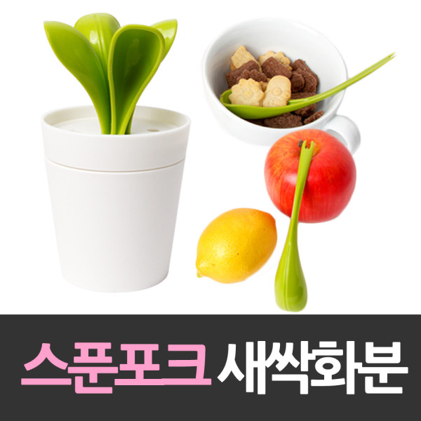 스푼포크 4P 새싹화분