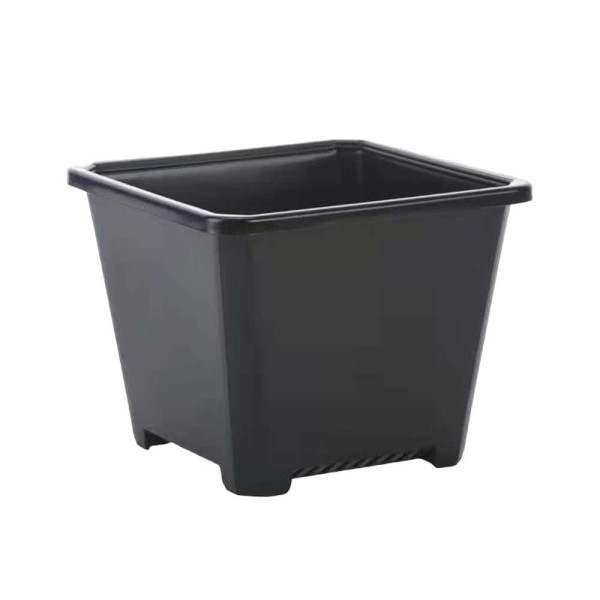플라스틱 사각 다육이 화분 14 X 14cm