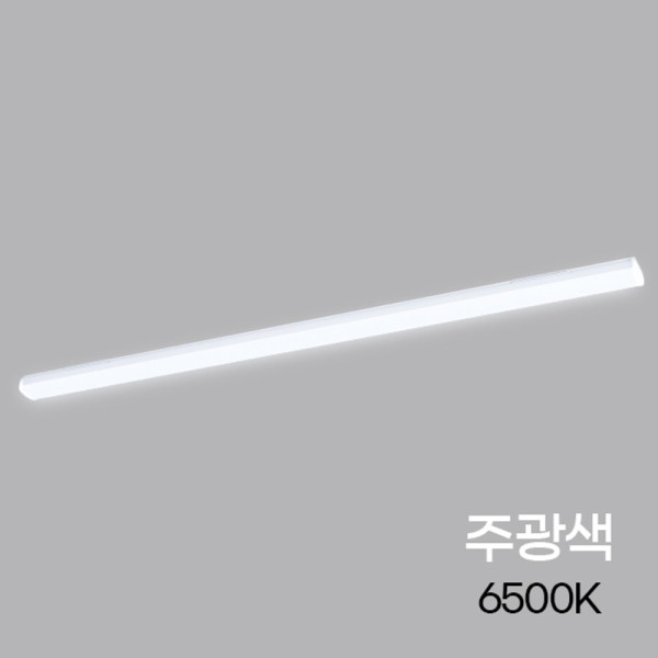 주차장등 LED멀티등 W2 60W 주광 1200 KS
