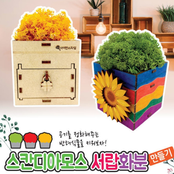스칸디아모스 서랍화분 만들기(탄소중립)-초록