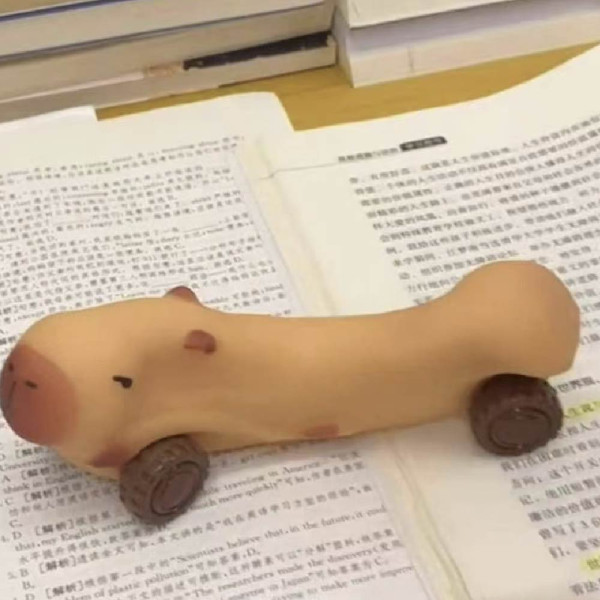 말랑이 선물 카피바라인형 화풀이 인싸템