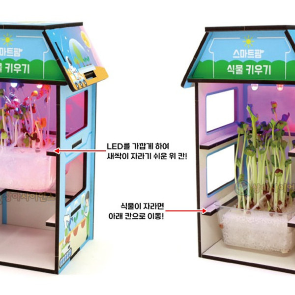 (SA) GTCO LED 스마트팜 식물키우기 (1인)