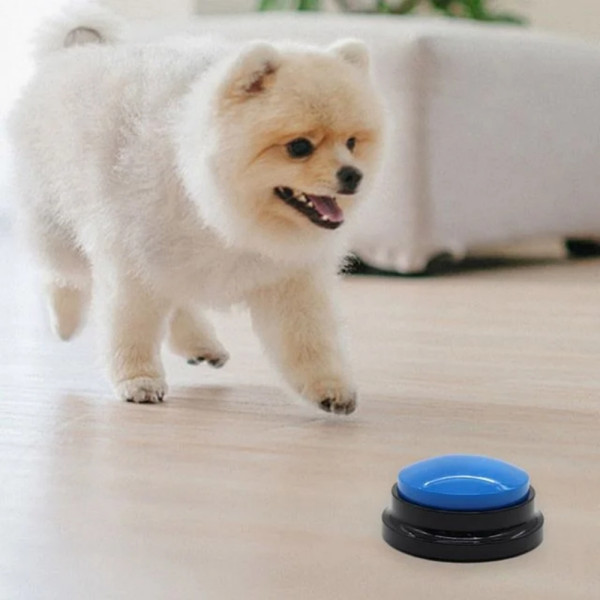 잔솔 강아지 말하는 버튼 녹음벨 훈련벨 고양이 훈련
