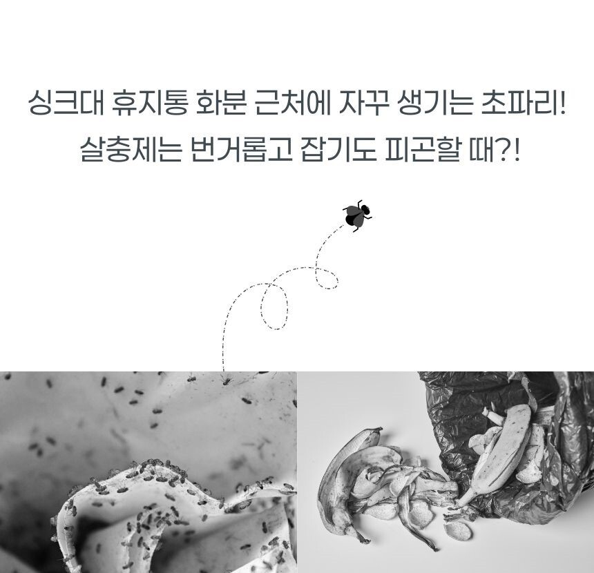 주방 창문에 붙인 투명 해충 스티커 트랩