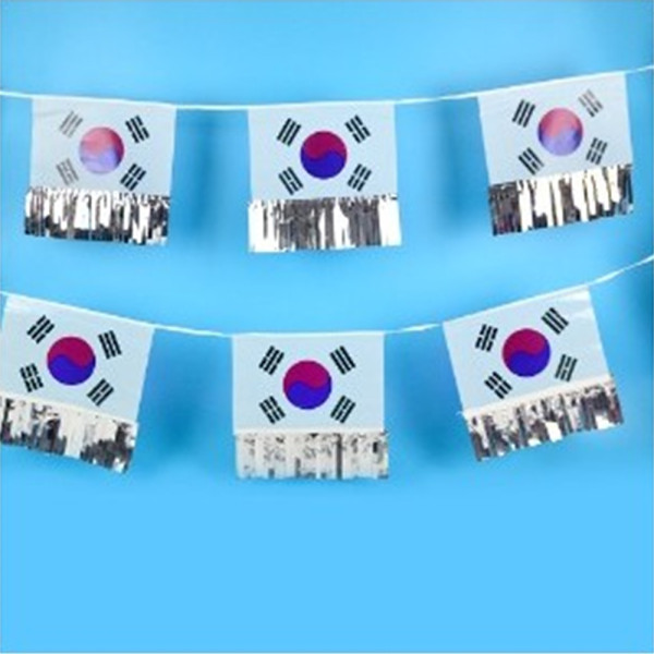 (PC) 필름 수술 태극기