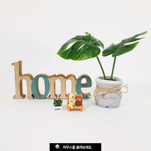 (TD) 몬스잎 데코 화분 만들기 - 5인세트