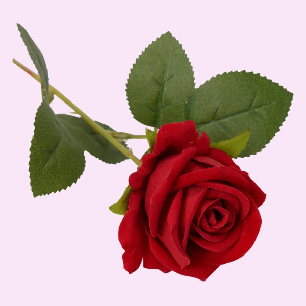 플랜테리어 장미 인테리어 로즈 조화 생화 같은