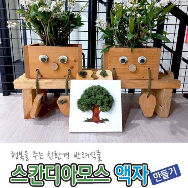 스칸디아모스 액자 만들기(탄소중립)초록 기본과 노랑