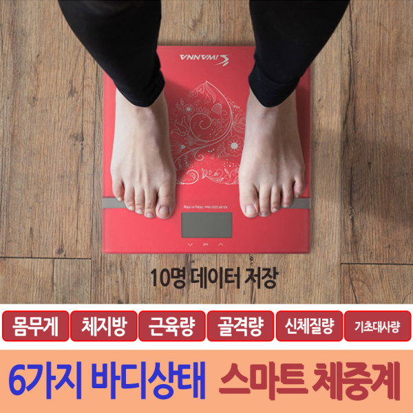 체중관리 스마트체중계 가정용인바디