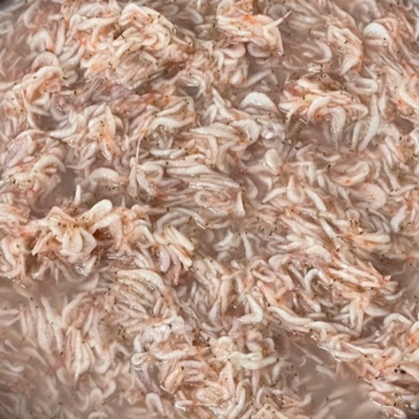 국내산 새우젓 추젓 2kg