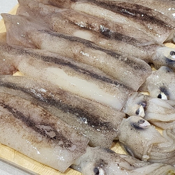 냉동 오징어 3kg