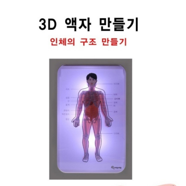3D 액자 만들기 (인체 구조)
