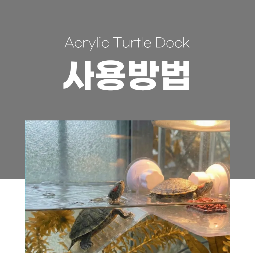 상세1