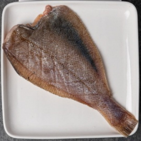 국내산 반건조 참가자미 15미