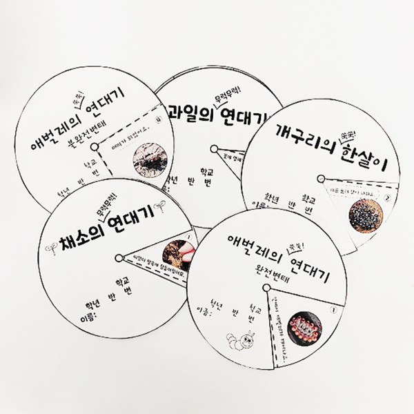 (TD) 하비 생물의 연대기 만들기