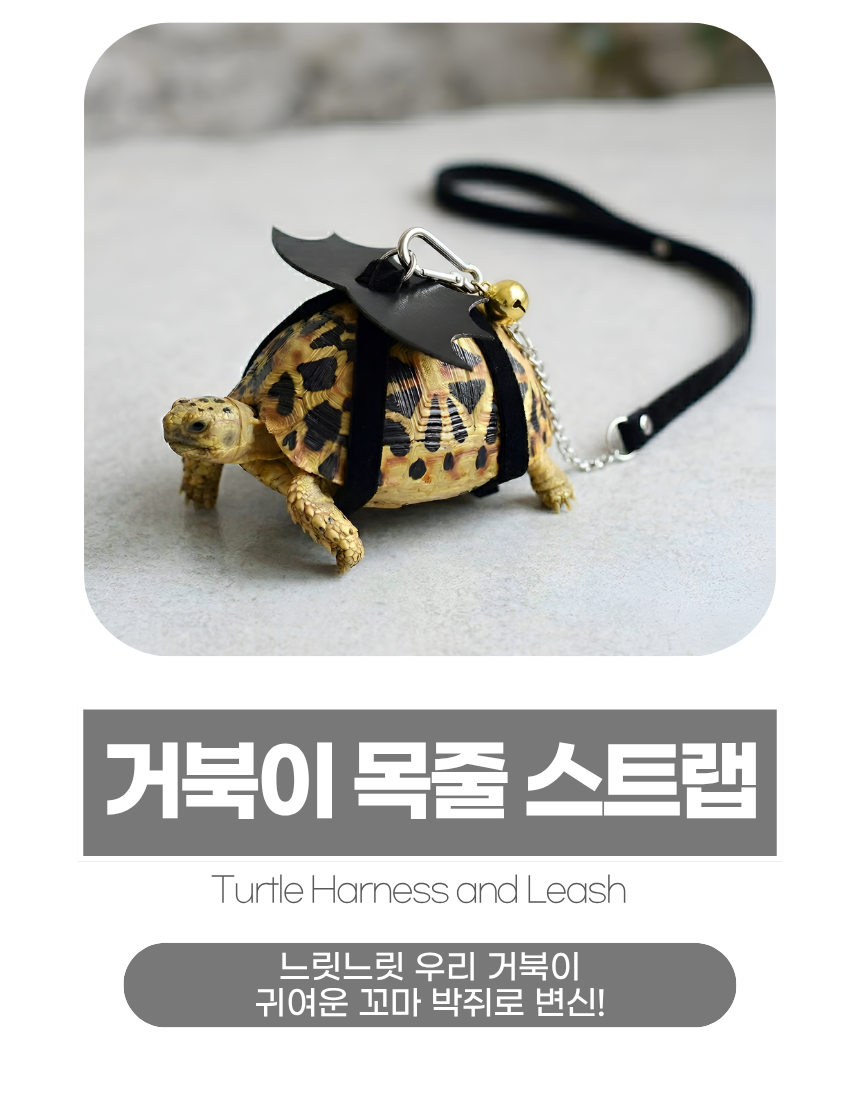 상세1