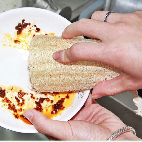 식물 열매 건조 수세미
