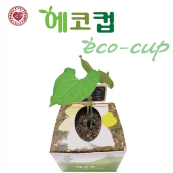 (TNB) 석광 강낭콩기르기-5000